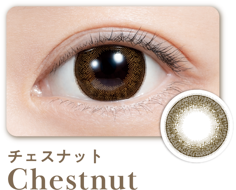 チェスナット Chestnut
