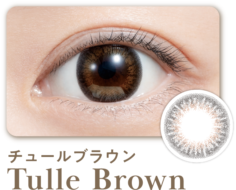 チュールブラウン Tulle Brown